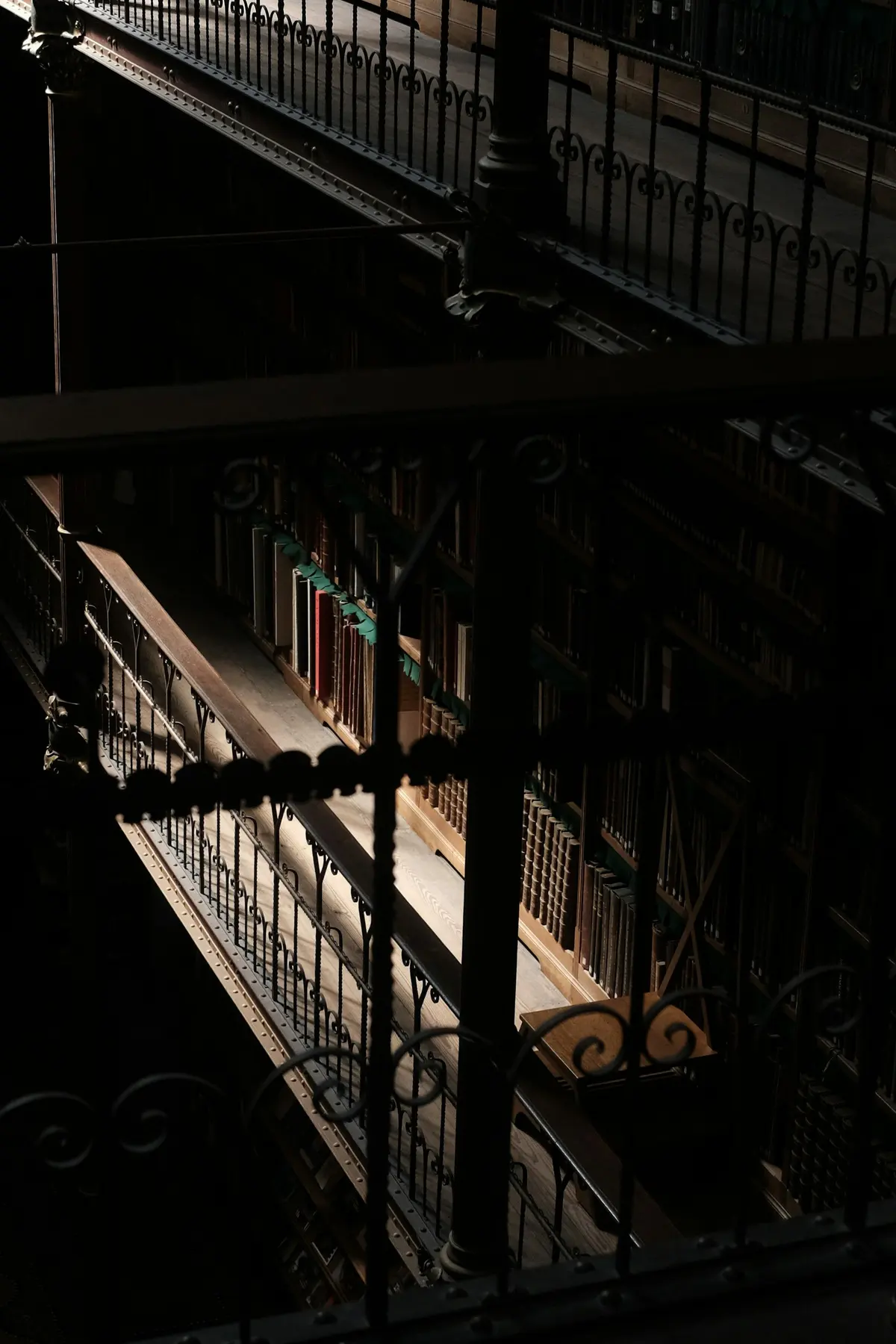 Sunlight falling across the shelves of a quiet library